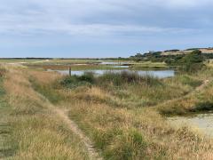 Walking along the river towards Cuckmere Haven